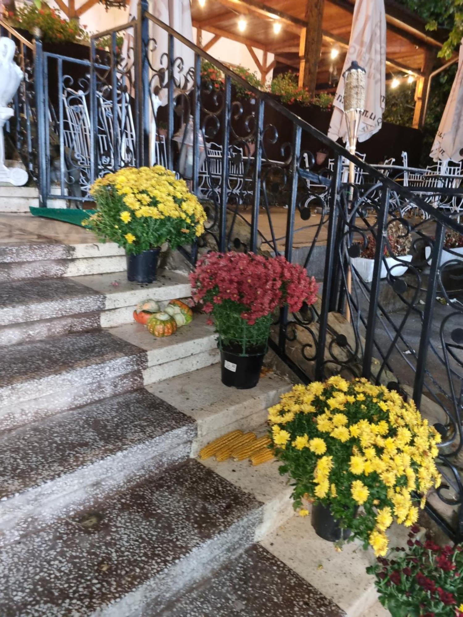 Casa Boiereasca Hotel Iasi Buitenkant foto