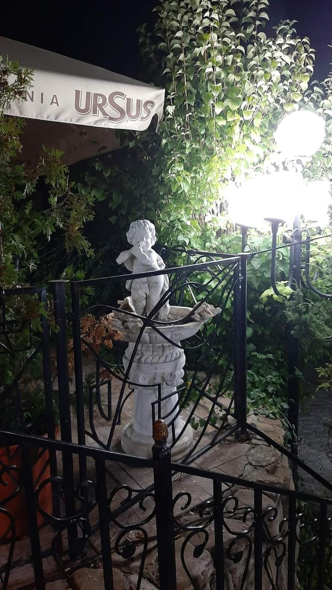 Casa Boiereasca Hotel Iasi Buitenkant foto